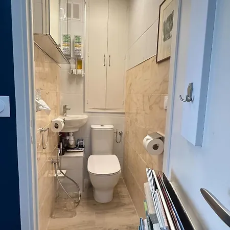 Διαμέρισμα Beautiful Renovated Luxury Terrace Parking Κάννες